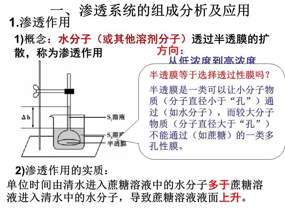 物质跨膜运输的实例复习.ppt_第2页