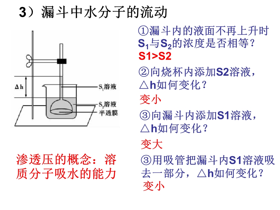 物质跨膜运输的实例复习.ppt_第3页