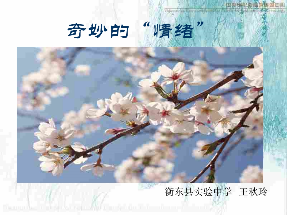 《奇妙的情绪》PPT课件.ppt_第1页