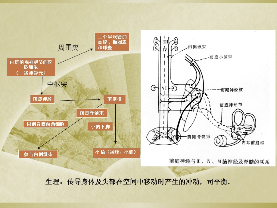 《前庭性偏头痛》PPT课件.ppt_第3页