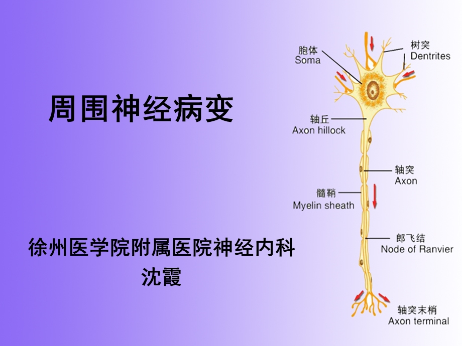 《周围神经病变》PPT课件.ppt_第2页