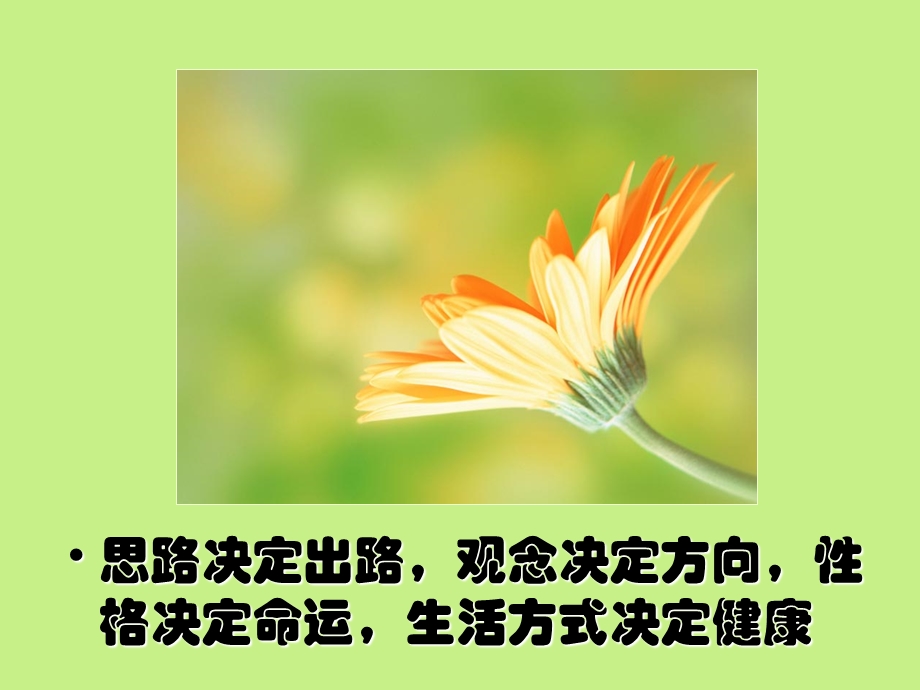 《健康十二理念》PPT课件.ppt_第2页