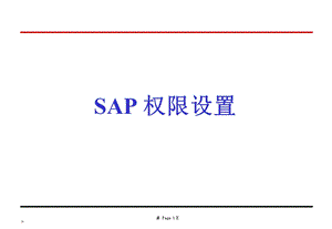 《SAP权限设定》PPT课件.ppt