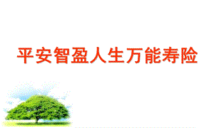 《平安智盈人生》PPT课件.ppt