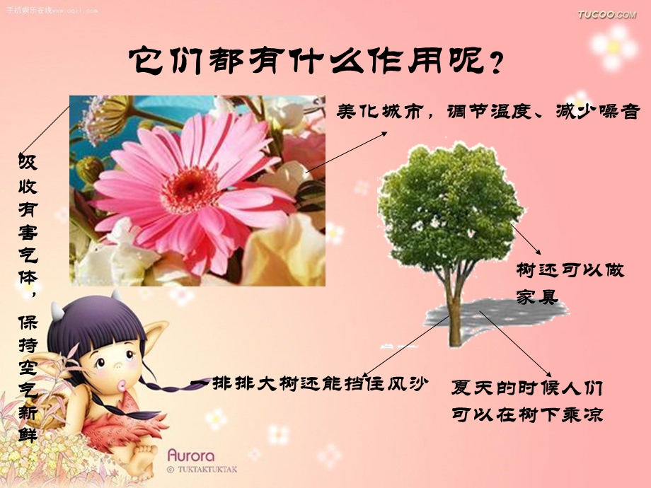 《我爱大树小花》PPT课件.ppt_第3页