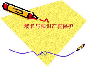 《公司域名保护》PPT课件.ppt