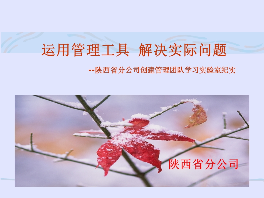 运用管理工具解决实际问题.ppt_第1页