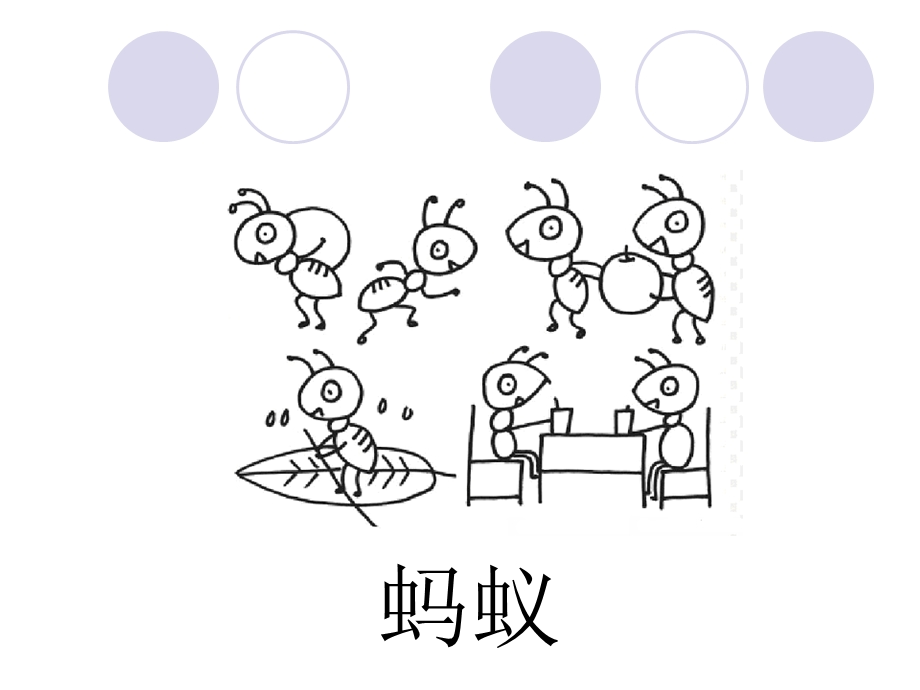 《小学生趣味数学》PPT课件.ppt_第3页