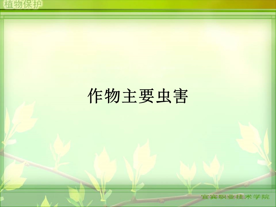 《作物主要虫害》PPT课件.ppt_第2页