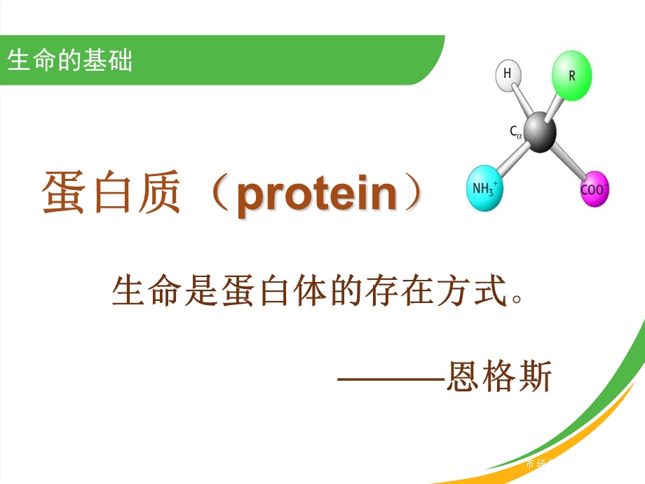 《大豆肽蛋白粉》PPT课件.ppt_第2页