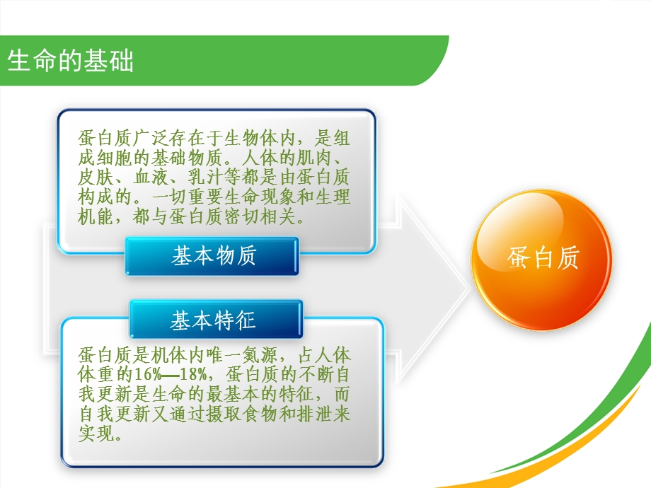 《大豆肽蛋白粉》PPT课件.ppt_第3页