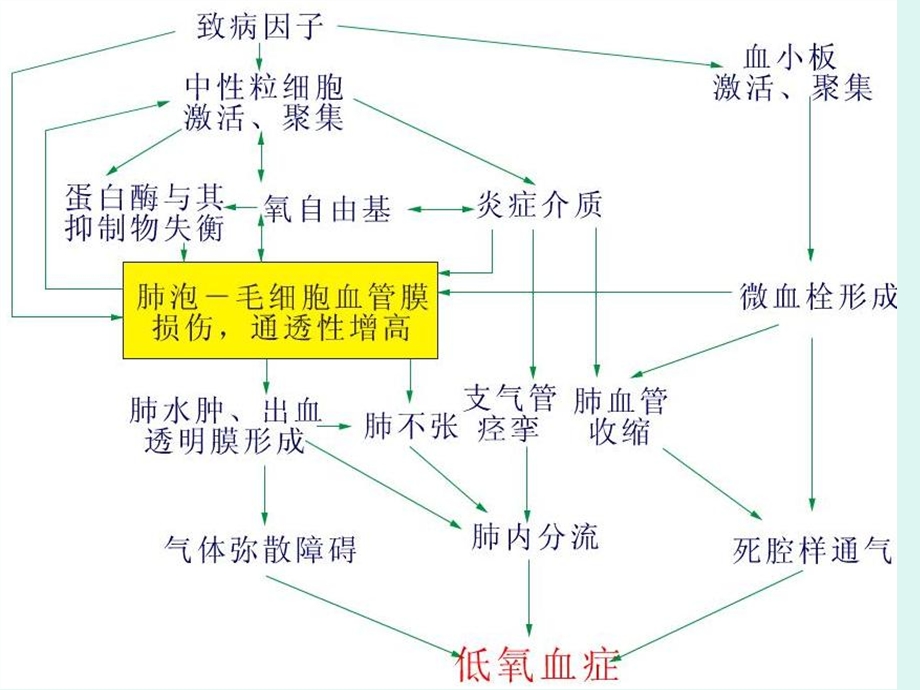 《外科呼吸衰竭》PPT课件.ppt_第3页