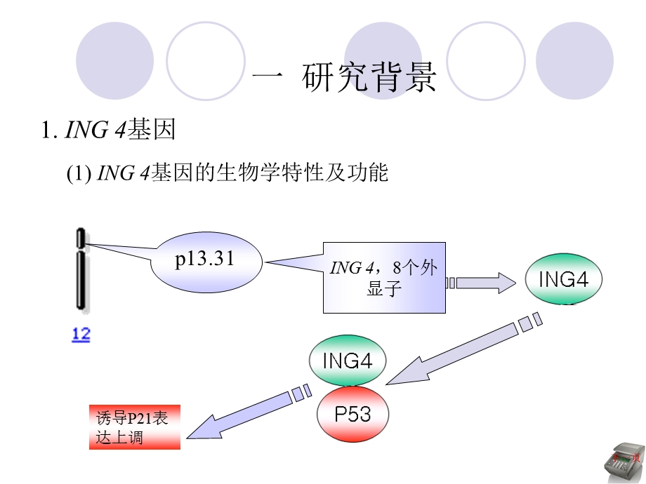 医学生毕业答辩幻灯片样板.ppt_第2页