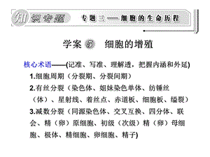 《学案细胞的增殖》PPT课件.ppt