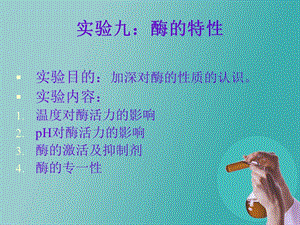 实验九 酶的特性.ppt