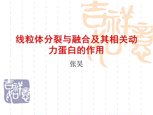 线粒体分裂与融合及其相关动力蛋白的作用.ppt