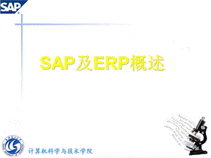 《SAP及ERP概述》PPT课件.ppt