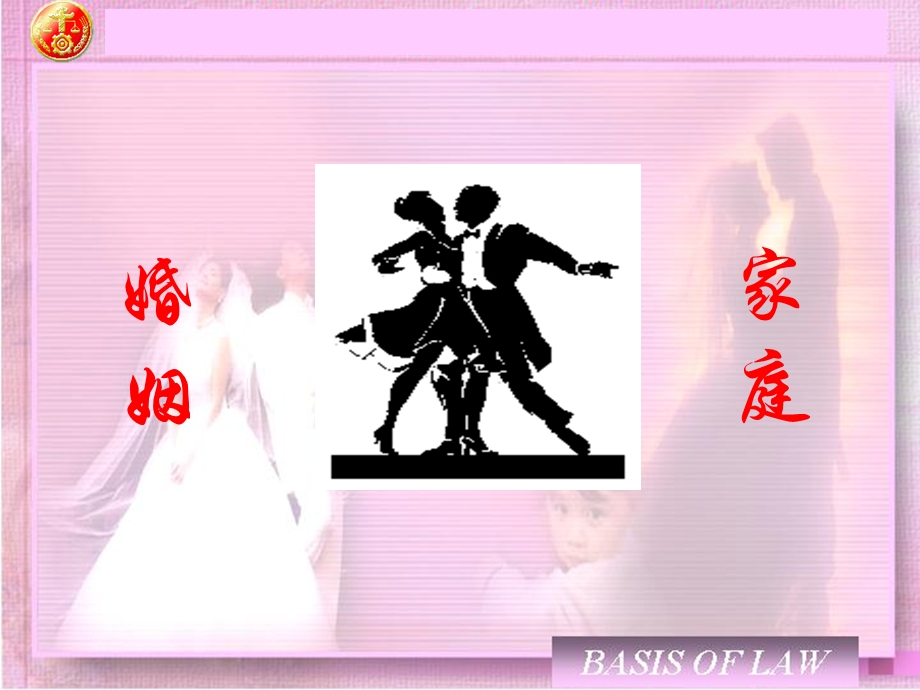 《婚姻法的概念》PPT课件.ppt_第1页