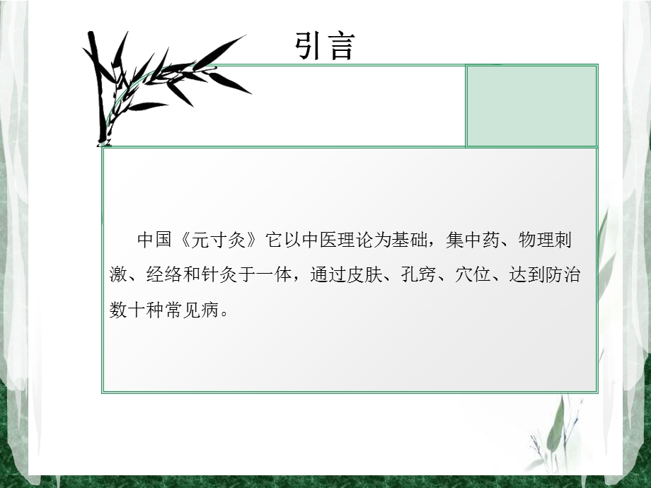 《中医元寸灸》PPT课件.ppt_第3页