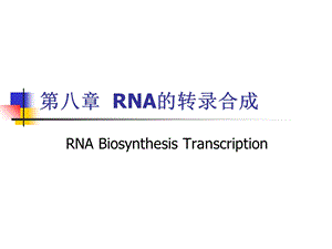 《RNA的转录合成》PPT课件.ppt