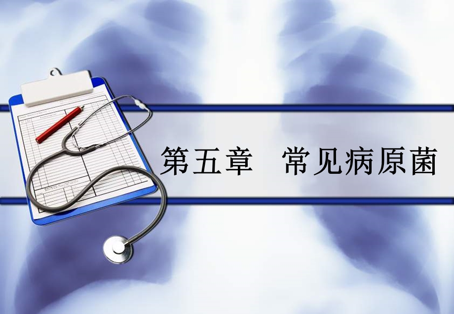 《常见病原菌》PPT课件.ppt_第1页