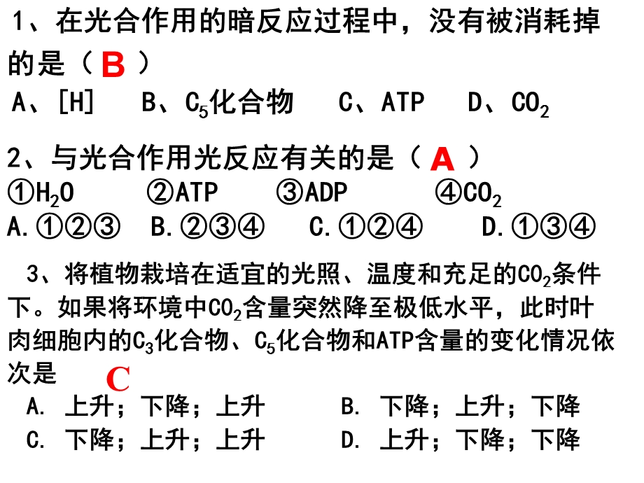 《大家来练练吧》PPT课件.ppt_第3页