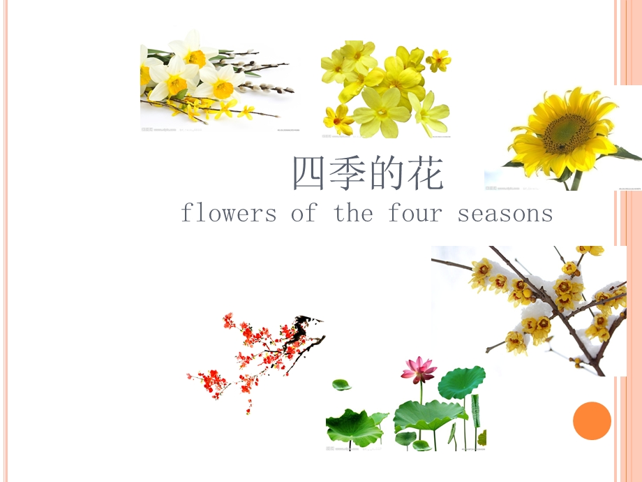 《不同季节的花》PPT课件.ppt_第1页