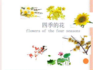 《不同季节的花》PPT课件.ppt