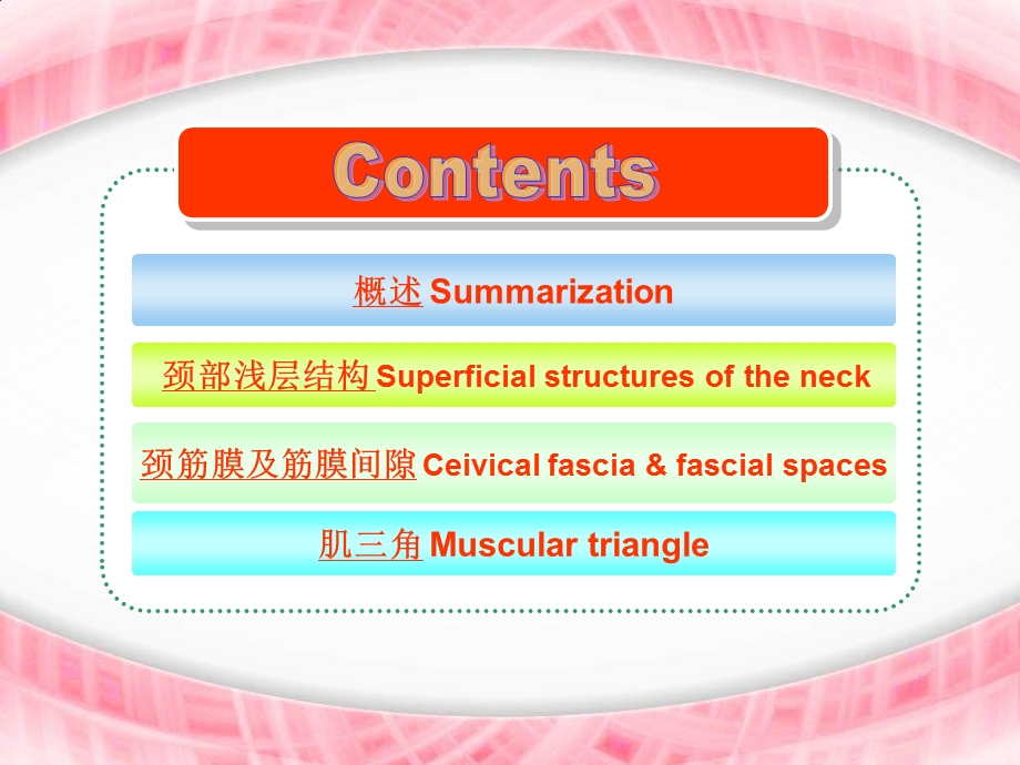 《局部解剖颈部》PPT课件.ppt_第2页