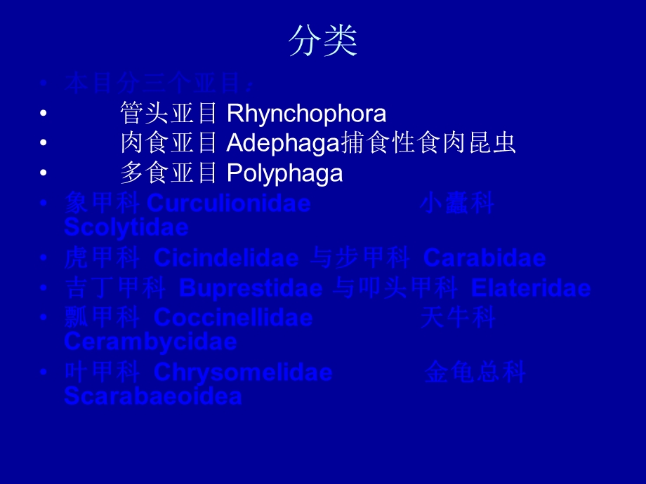 《实验四鞘翅目》PPT课件.ppt_第2页