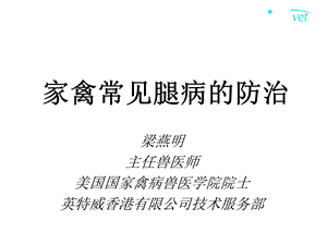 《家禽常见腿病防治》PPT课件.ppt