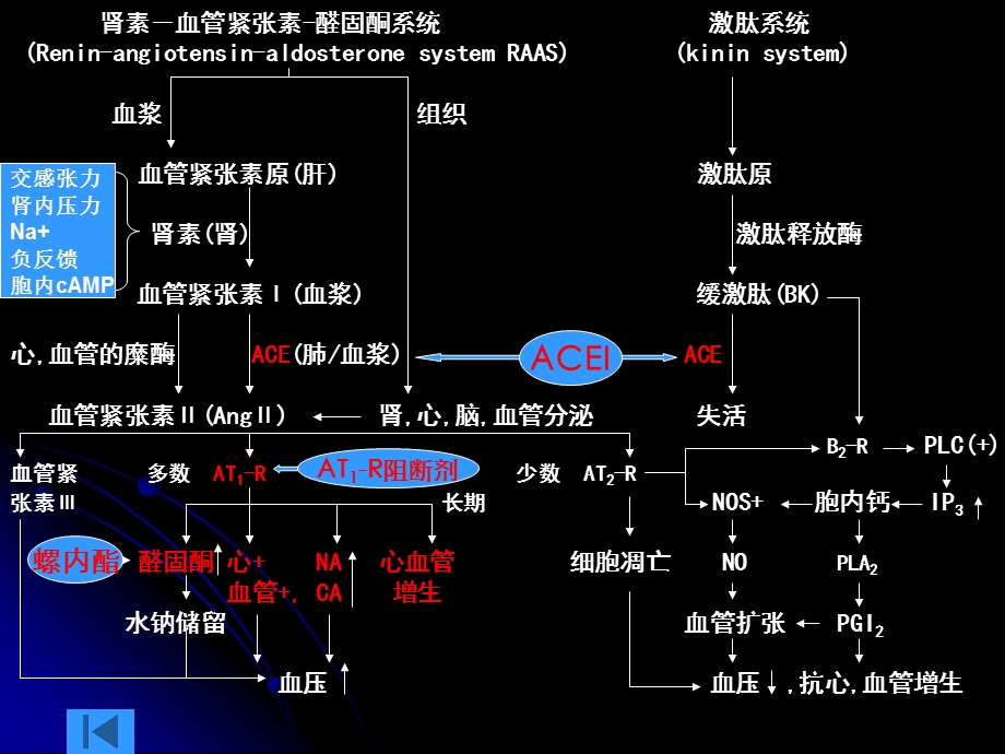 《RASS系统药理》PPT课件.ppt_第3页