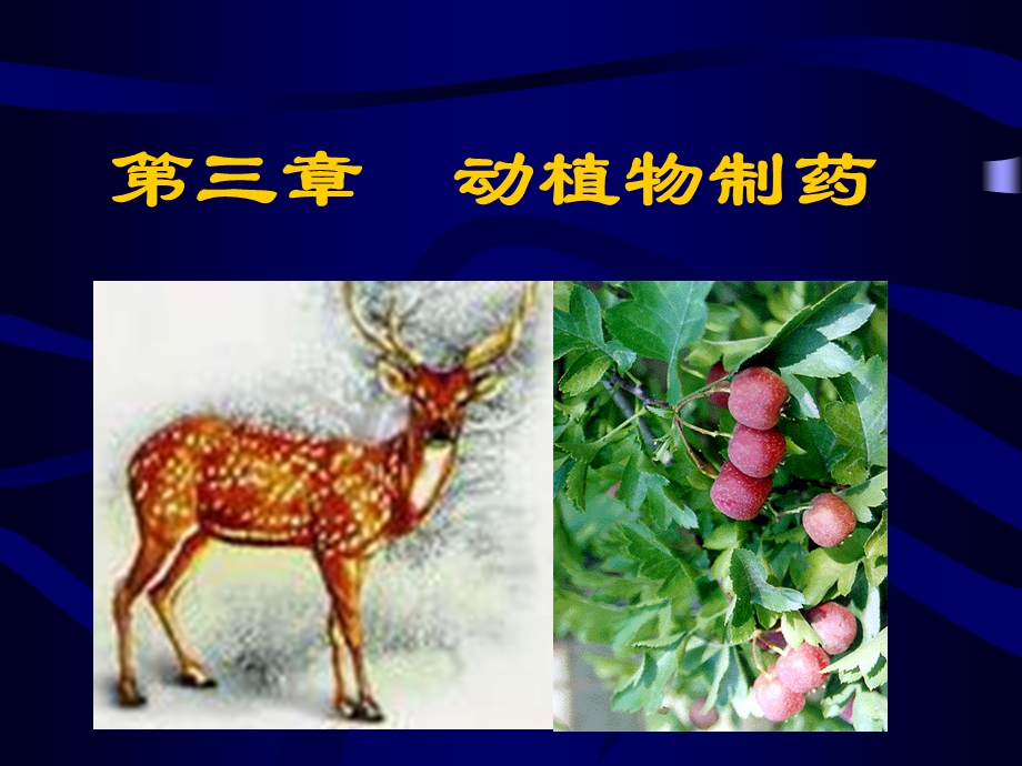 《动植物制药》PPT课件.ppt_第1页