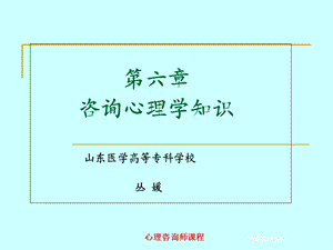 《心理咨询理论》PPT课件.ppt