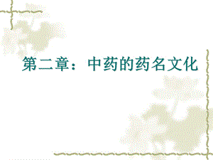 《中药药名文化》PPT课件.ppt