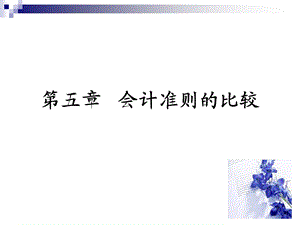 《会计准则比较》PPT课件.ppt