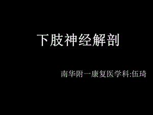 《下肢神经解剖》PPT课件.ppt