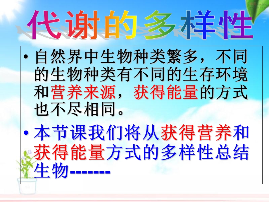 《代谢的多样性》PPT课件.ppt_第2页