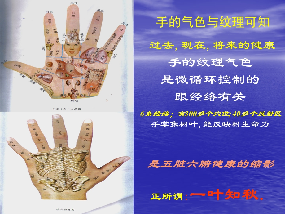 《完整手诊速成》PPT课件.ppt_第2页