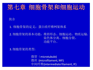 细胞骨架分享.ppt