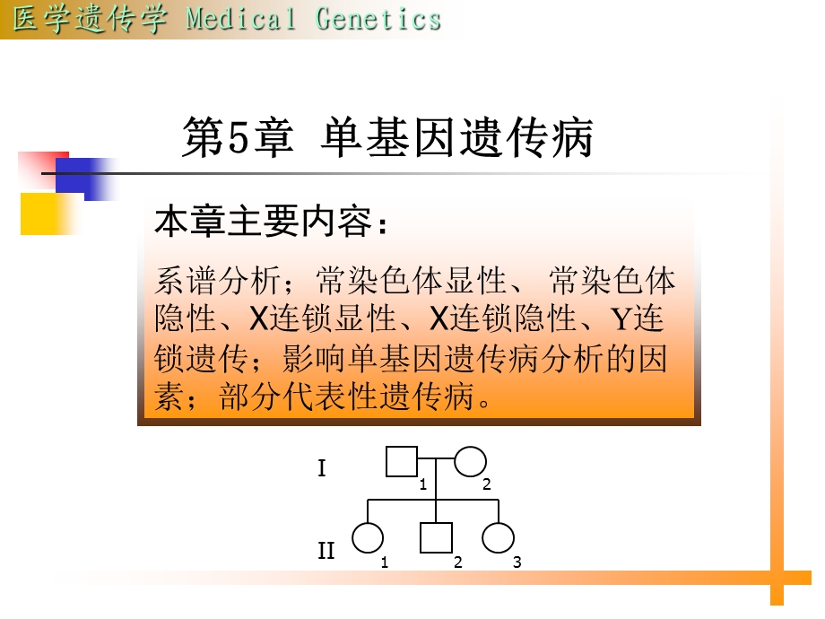 《单基因遗传》PPT课件.ppt_第1页