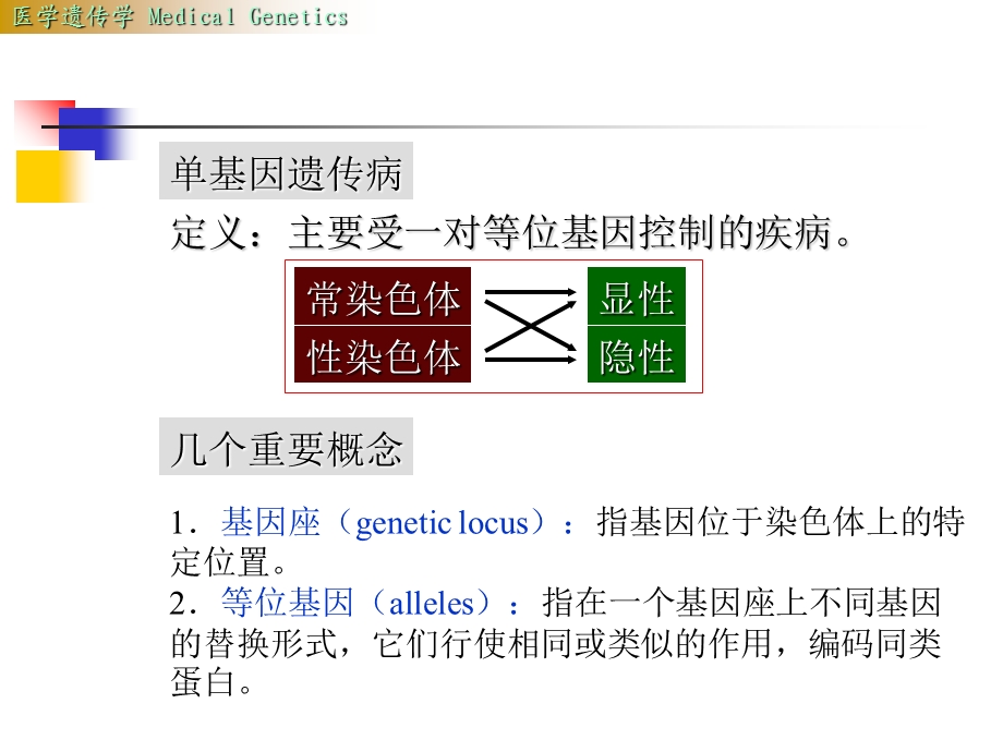 《单基因遗传》PPT课件.ppt_第2页