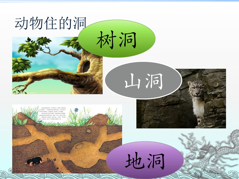 《住在洞里的动物》PPT课件.ppt_第2页