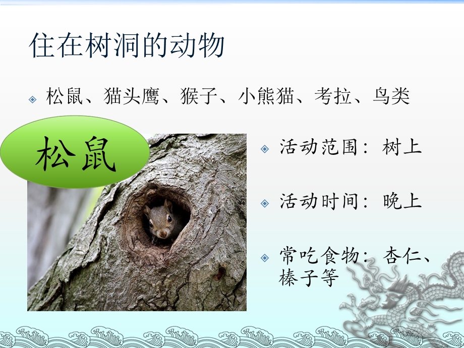 《住在洞里的动物》PPT课件.ppt_第3页