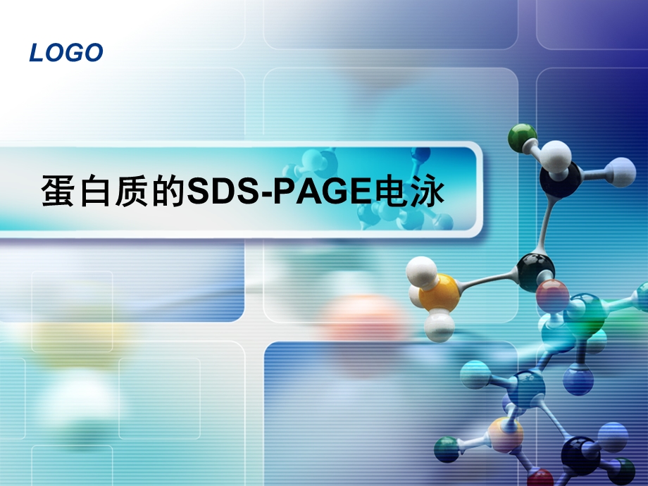 《SDSPAGE电泳》PPT课件.ppt_第1页