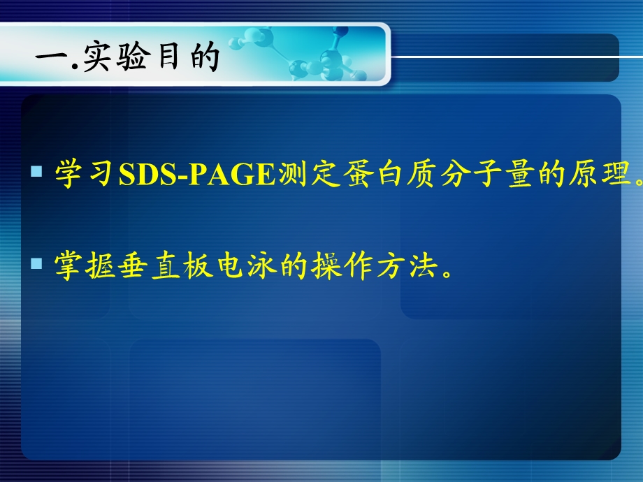 《SDSPAGE电泳》PPT课件.ppt_第2页