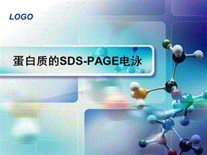 《SDSPAGE电泳》PPT课件.ppt