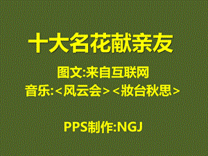 《大名花献亲友》PPT课件.ppt