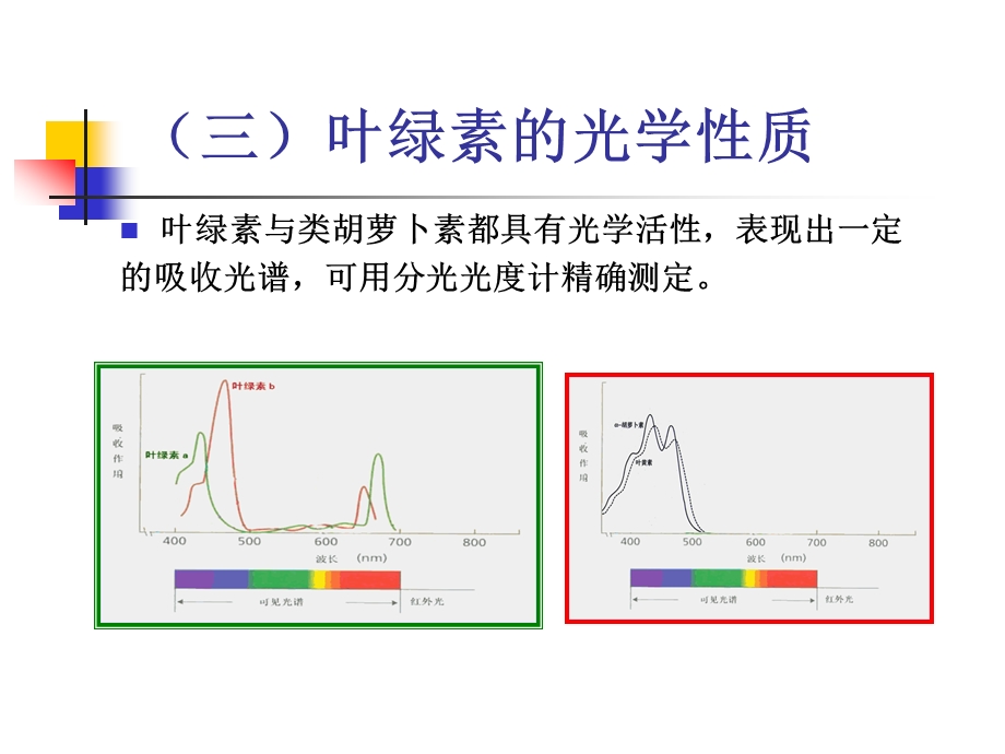 实验三叶绿体色素的提取、分离和性质分析.ppt_第2页