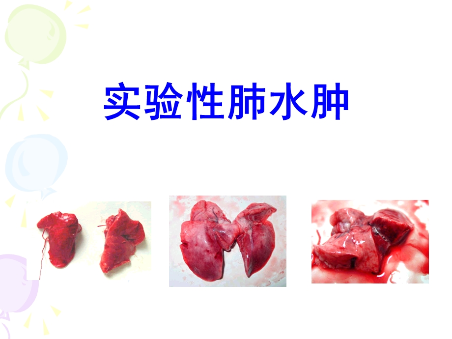 实验性肺水肿.ppt.ppt_第1页